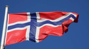 В Норвегии заключен под стражу россиянин, задержанный на границе с БПЛА