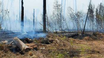 К тушению огня в Мордовском заповеднике привлекли два пожарных поезда