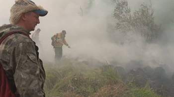 МЧС рассказало о ситуации с пожаром в Мордовском заповеднике