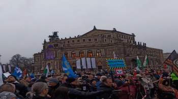 Политик рассказала о митинге в Берлине против поставок оружия Киеву