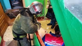 В Архангельске при пожаре в квартире спасли упитанного минипига