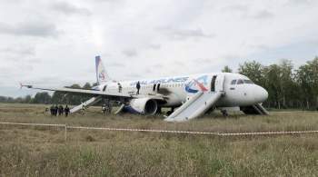 Самолет, севший в поле под Новосибирском, не имеет серьезных повреждений 