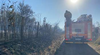 Природный пожар угрожает поселку в Темрюкском районе Кубани 