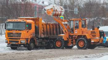 Московские службы ликвидируют последствия ночного снегопада 