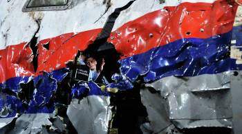 ЕСПЧ должен был объединить иски по MH17, заявил представитель России