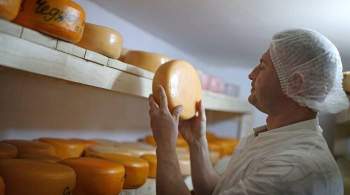 Подмосковье стало российским лидером по экспорту сыра