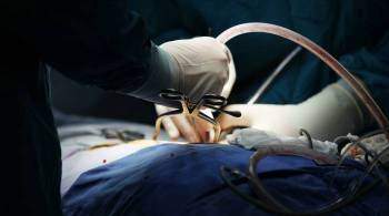 Кардиохирург оценил данные о пересадке свиного сердца человеку в США