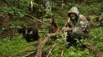 Биолог рассказала о методике реабилитации медвежат-сирот Пажетнова