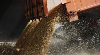 В МИД призвали не политизировать вопрос экспорта зерна