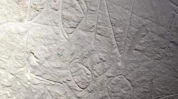 Вандалы разрушили 30000-летний наскальный рисунок