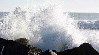 В Чили закрыли пляжи из-за угрозы цунами после извержения вулкана в Тонге