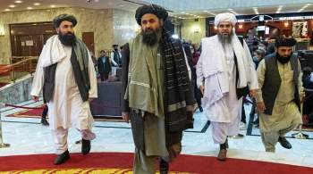 Талибы определились со сроком формирования нового правительства Афганистана