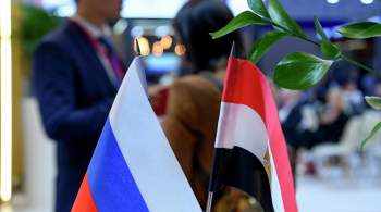Чекушов: из Египта российскому бизнесу откроются  все двери 