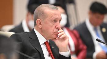 СМИ: Эрдоган поручил разработать с Россией альтернативы системе "Мир"
