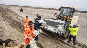 На пляжи Дании выбросило тысячи ботинок из-за шторма 