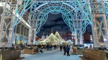 С медведем или в елочном шаре: лучшие места для новогодних селфи в Москве 
