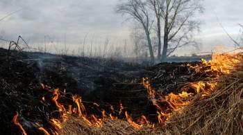 В Москве возгораний сухой травы в мае было на 30% меньше, чем год назад