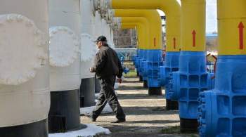 В Чехии назвали главных виновников газового кризиса в Европе
