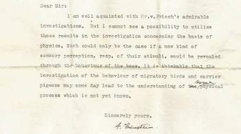Опубликовано ранее неизвестное письмо Эйнштейна о сверхчувствах животных