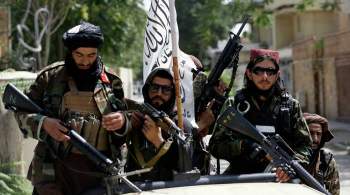 Действия талибов в сфере безопасности внимательно отследят, заявил Песков