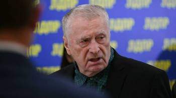 Жириновский предложил включить новогодние каникулы в отпуска россиян