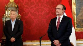 Новый канцлер Австрии заявил, что будет сотрудничать с Курцем