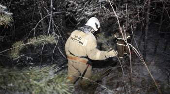 На месте крушения Ан-12 под Иркутском нашли второй самописец