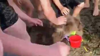 В Челябинской области мужчина привел на городской пляж медвежонка