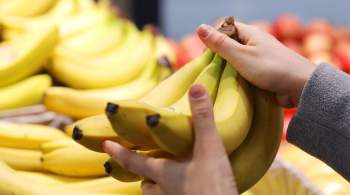 Исчезнут ли бананы с прилавков российских магазинов? Мнение эксперта