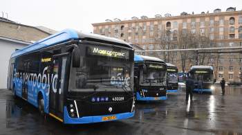 В Москве проводят служебное расследование после драки в автобусе
