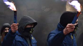 Французских сенаторов возмутили украинские неонацисты