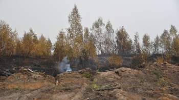 В Рязанской области за сутки сгорели еще 530 гектаров леса