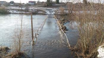 Девять низководных мостов подтопило в Тульской области из-за паводка
