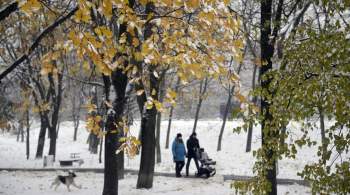 Москвичам рассказали о погодных рекордах октября 