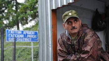 В горах Абхазии ищут вооруженных людей 
