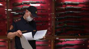 Совфед одобрил закон о штрафах за нарушения в сфере оборота оружия