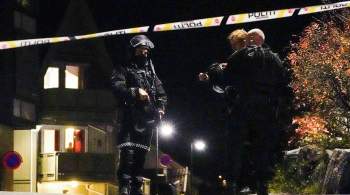 В Норвегии несколько человек погибли при нападении неизвестного 