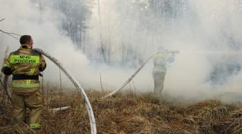 В Татарстане загорелись дома из-за природного пожара