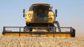МИД назвал план Брюсселя по помощи Украине в экспорте зерна продразверсткой