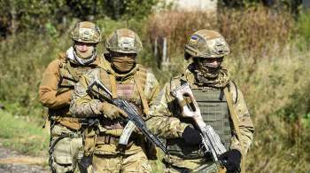 Украинские силовики провели учения на границе с Белоруссией и Россией