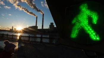 Радионова раскритиковала отчетность компаний о заботе об экологии