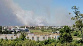 Началась эвакуация постояльцев из отелей в Турции, где горят леса