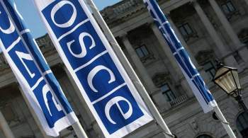 Россия примет участие в сессии ПА ОБСЕ 3-4 ноября