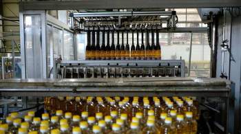 Тамбовских производителей сахара и масла поддержат еще на 112 млн рублей