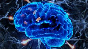 Британские ученые развеяли миф о главном признаке болезни Альцгеймера