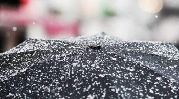 Жителям Подмосковья пообещали дождь с мокрым снегом на День Победы