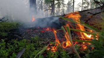 В Якутии ответили на критику Минприроды из-за занижения данных о пожарах