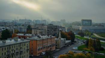 Санкт-Петербургский культурный форум в этом году не состоится