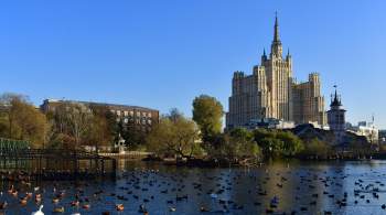Домики для водоплавающих начали демонтировать в Москве