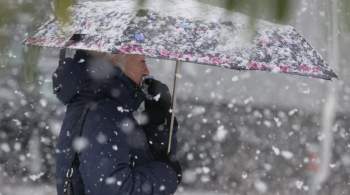 Синоптики опровергли информацию о первом снеге в Москве с 21 октября